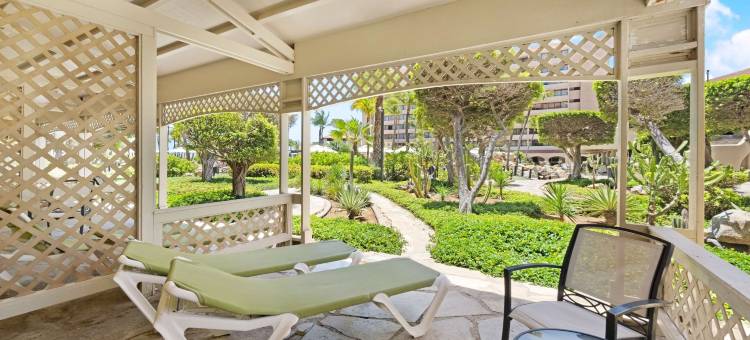 巴塞罗阿鲁巴度假酒店-全包式(Barceló Aruba - All Inclusive)图片