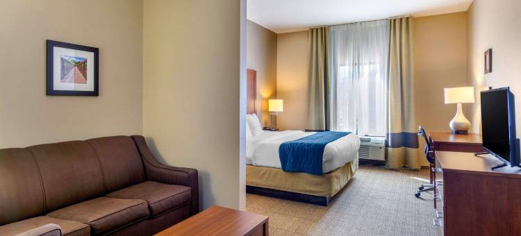 南切斯特菲尔德-科隆尼尔海次舒适酒店(Comfort Inn South Chesterfield - Colonial Heights)图片