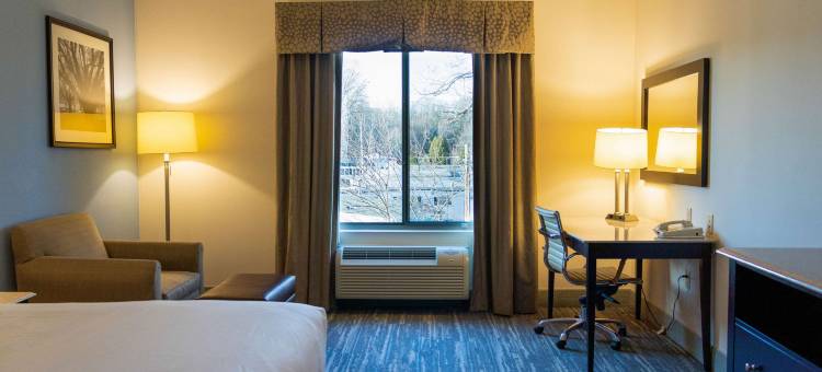 普莱恩维尔-福克斯波罗舒适套房酒店(Comfort Inn & Suites Plainville-Foxboro)图片