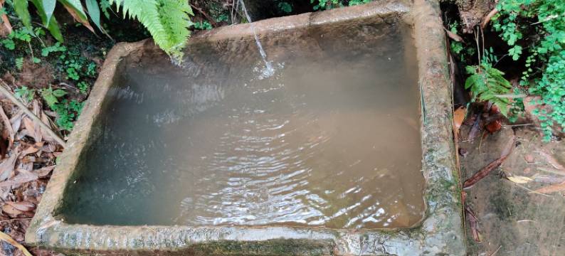 梨花休闲避暑山庄特色民宿(寿高路1号分店)图片