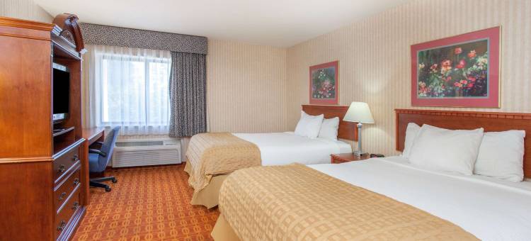 底特律/罗斯维尔温德姆呗盟酒店(Baymont by Wyndham Detroit/Roseville)图片