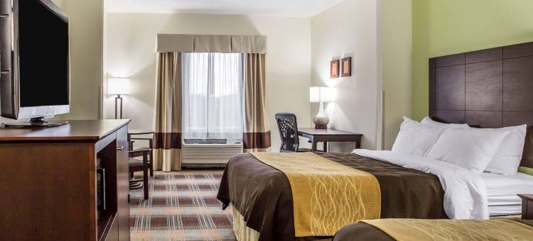 舒适酒店-莱星顿南(Comfort Inn Lexington South)图片