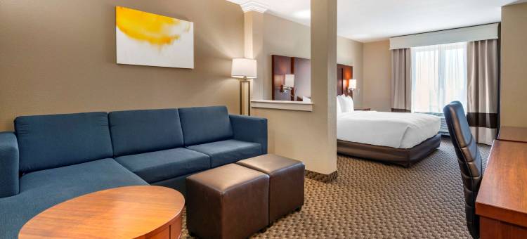 步行街布鲁姆菲尔德-Boulder/Interlocken舒适套房(Comfort Suites Broomfield-Boulder/Interlocken)图片