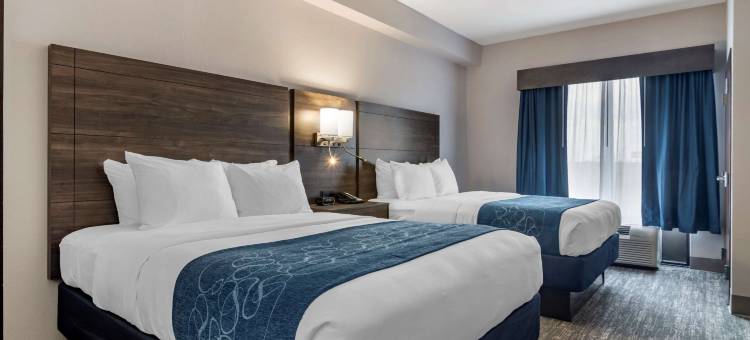 亚特兰大南部麦克多诺舒适套房酒店(Comfort Suites McDonough Atlanta South)图片