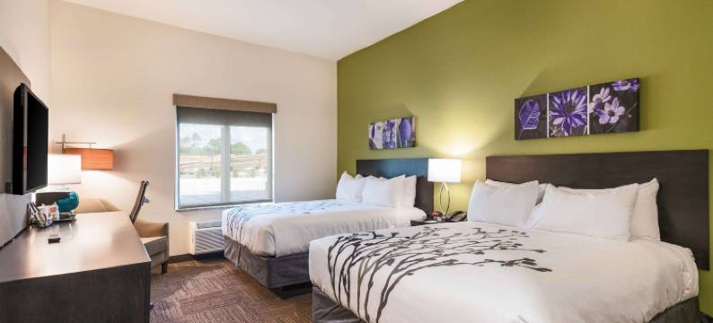 巴克斯利舒眠酒店(Sleep Inn)图片