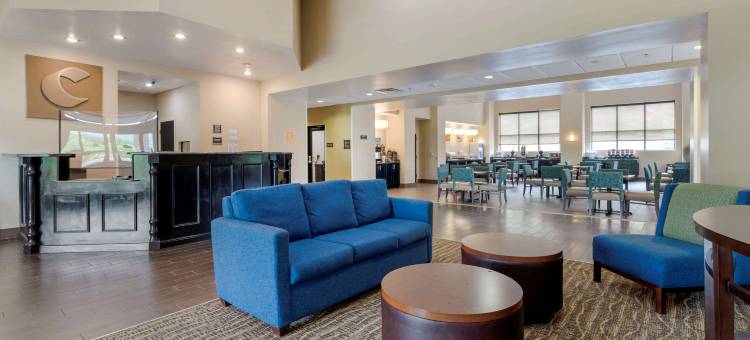 金斯波特南舒适套房酒店(Comfort Suites)图片