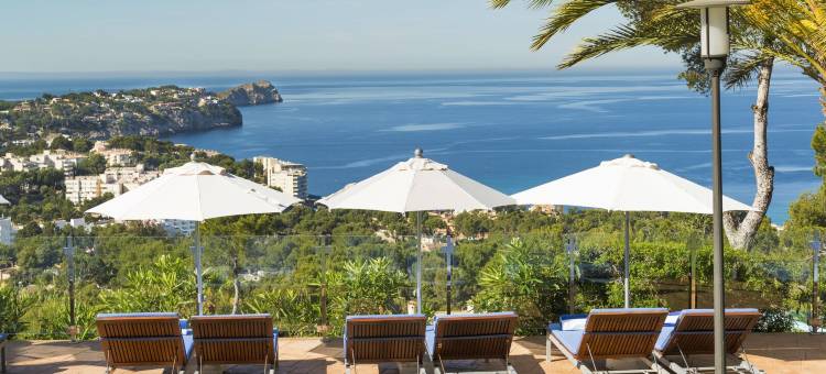 加拉佐马略卡希尔顿酒店(Hilton Mallorca Galatzo)图片