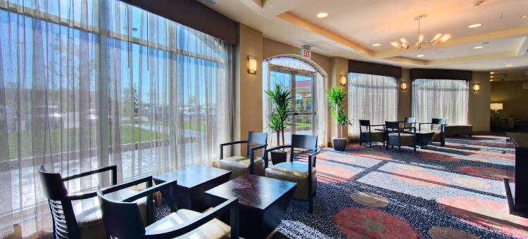 葡萄藤达拉斯沃尔斯堡国际机场希尔顿花园酒店(Hilton Garden Inn DFW North Grapevine)图片