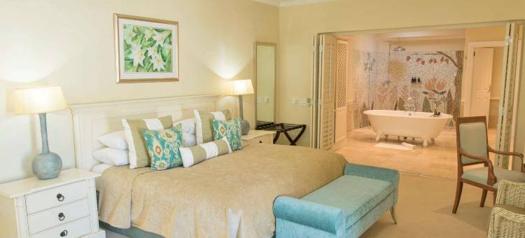 康斯坦提亚最后一字(The Last Word Constantia)图片