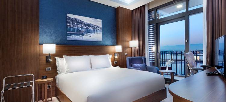 伊兹密尔贝拉克里希尔顿花园酒店(Hilton Garden Inn Izmir Bayrakli)图片