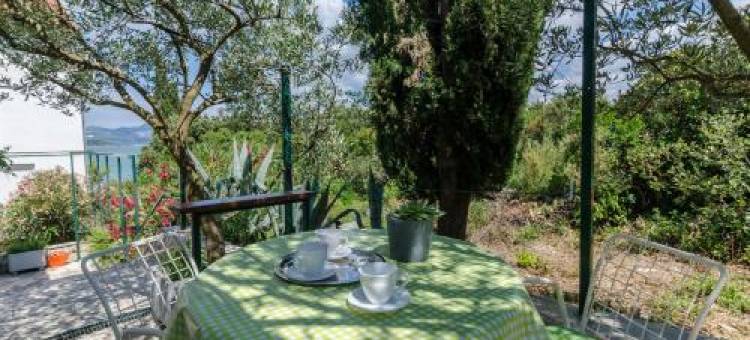 朱里卡公寓酒店(Apartments Jurica)图片