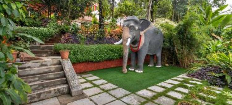 Serene Valley Resort Wayanad图片