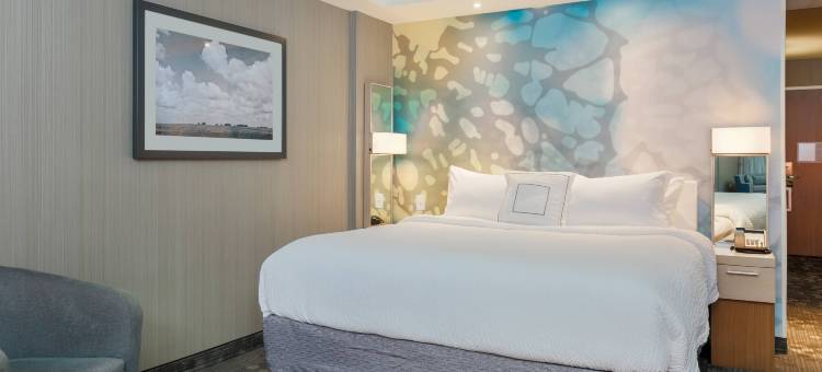 达拉斯米德洛锡安会议中心万怡酒店(Courtyard Dallas Midlothian at Midlothian Conference Center)图片