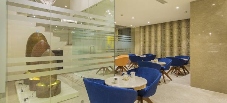 比尔甘杰迪耶罗广场酒店by Soaltee(Diyalo Plaza Birgunj by Soaltee)图片