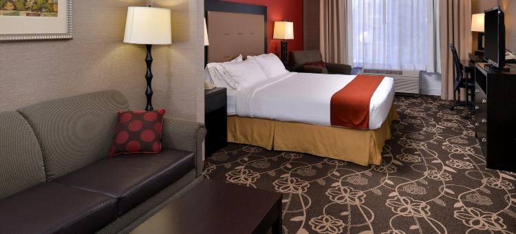 智选假日套房酒店爱达荷福尔斯(Holiday Inn Express & Suites Idaho Falls)图片