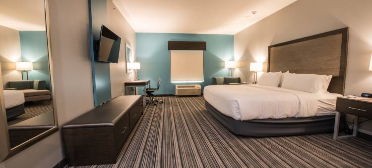 智选假日套房酒店休斯顿(Holiday Inn Express & Suites Houston - Hobby Airport Area)图片