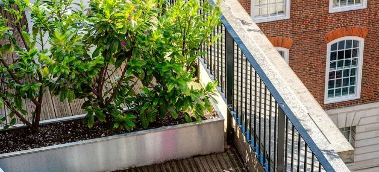 阿佩克斯顶点寺苑酒店(Apex Temple Court Hotel)图片