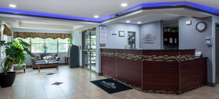 邓肯-斯帕坦堡麦客达套房酒店(Microtel Inn & Suites by Wyndham Duncan/Spartanburg)图片