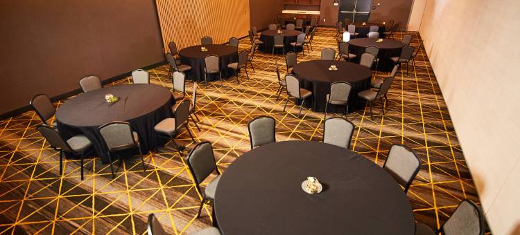 洲际假日酒店沃斯堡 - 联盟(Holiday Inn Fort Worth - Alliance)图片