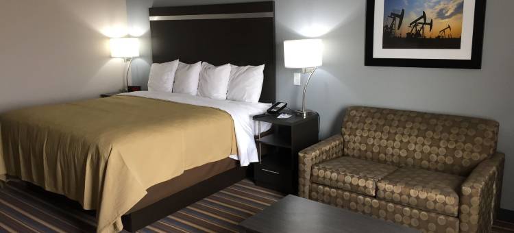 奥德萨I-20 美茵斯坦套房酒店(MainStay Suites Odessa I-20)图片