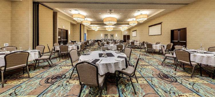 Holiday Inn & Suites 埃德蒙顿国际机场(Holiday Inn & Suites Edmonton Arpt - Conference Ctr)图片