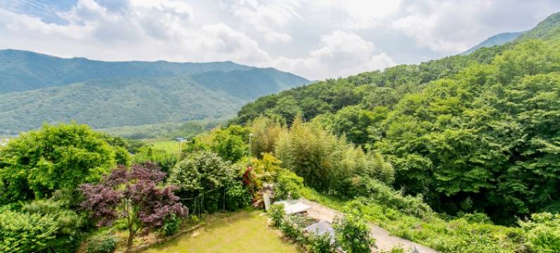 金海Solar House旅馆(Gimhae Solar House Pension)图片