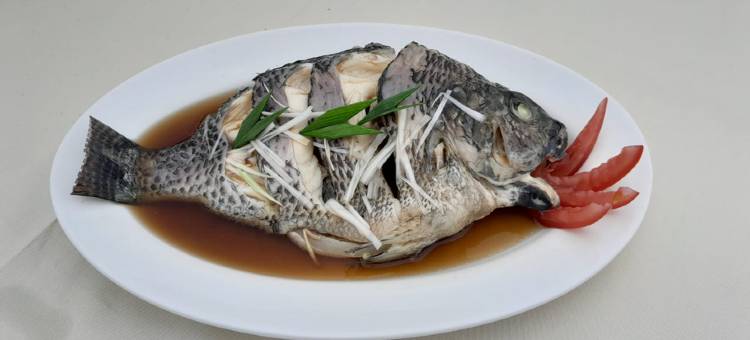 Sapadia Villa Bukit Gibeon图片