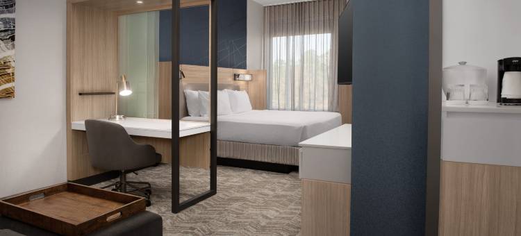 费耶特维尔 I 95万豪春丘酒店(SpringHill Suites Fayetteville I 95)图片