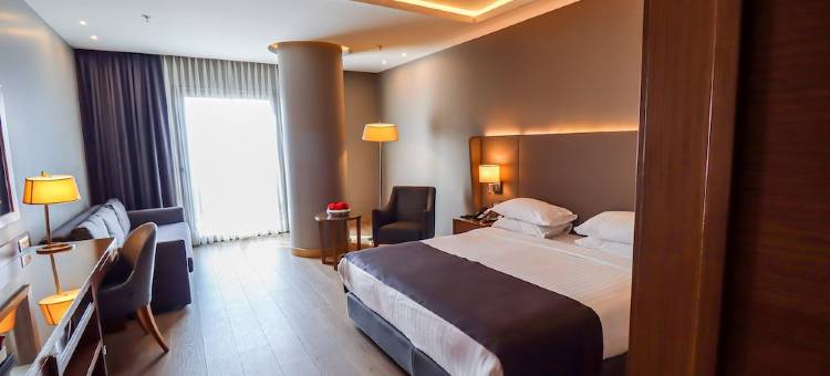 布尔萨市中心假日酒店(Holiday Inn Bursa - City Centre)图片