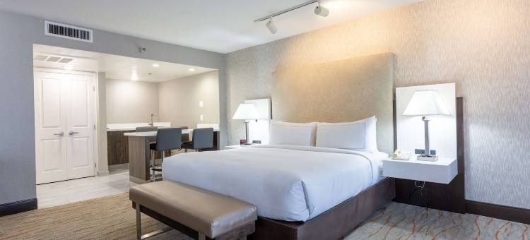 达拉斯理查森希尔顿逸林酒店(DoubleTree by Hilton Hotel Dallas - Richardson)图片