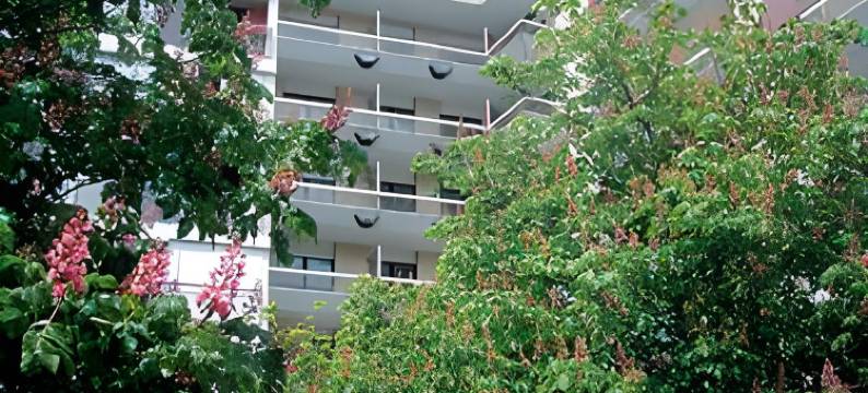 巴拉迪那原住酒店(Appart'Hotel les Palatines)图片