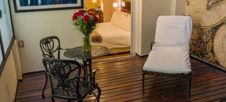 雷科莱塔广场美利亚酒店(Melia Recoleta Plaza)图片