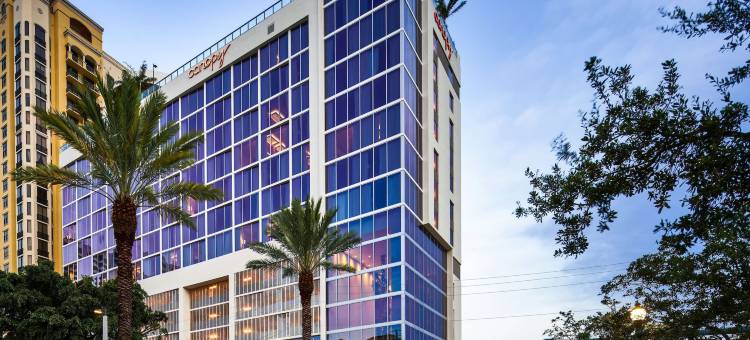 西棕榈滩市区华盖酒店(Canopy by Hilton West Palm Beach - Downtown)图片