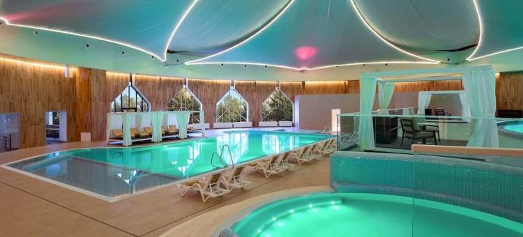 阿拉木图阿拉套瑞士疗养度假酒店(Swissôtel Wellness Resort Alatau Almaty)图片