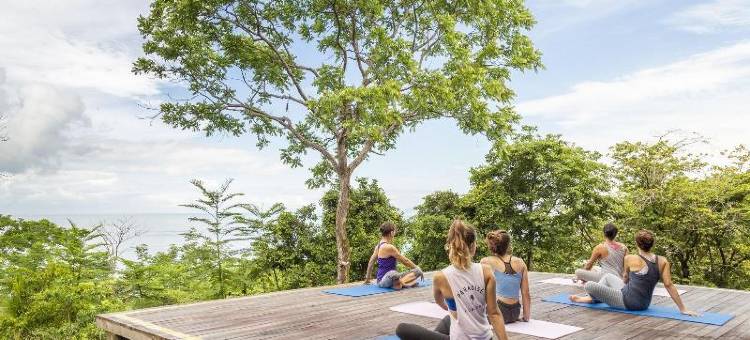 洛斯奥托斯度假村(Los Altos Resort)图片