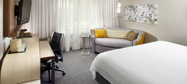 底特律布莱顿万怡酒店(Courtyard Detroit Brighton)图片