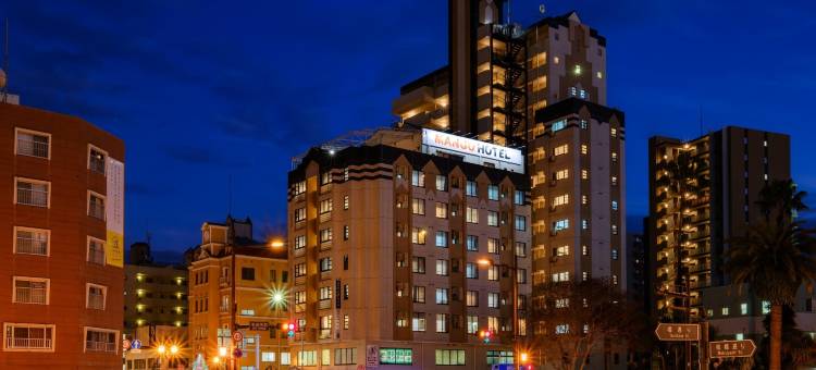 宫崎芒果酒店(miyazaki mango hotel)图片