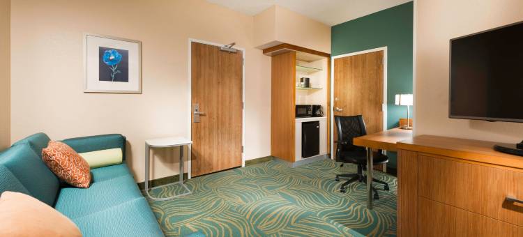 本顿维尔万豪SpringHill酒店(SpringHill Suites Bentonville)图片