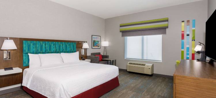 奥兰多奥科伊希尔顿欢朋酒店(Hampton Inn by Hilton Ocoee Orlando)图片