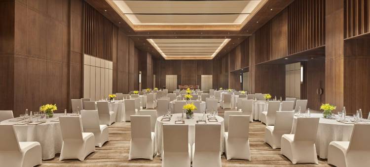 希尔顿古尔冈巴尼市中心(Hilton Gurugram Baani City Centre)图片
