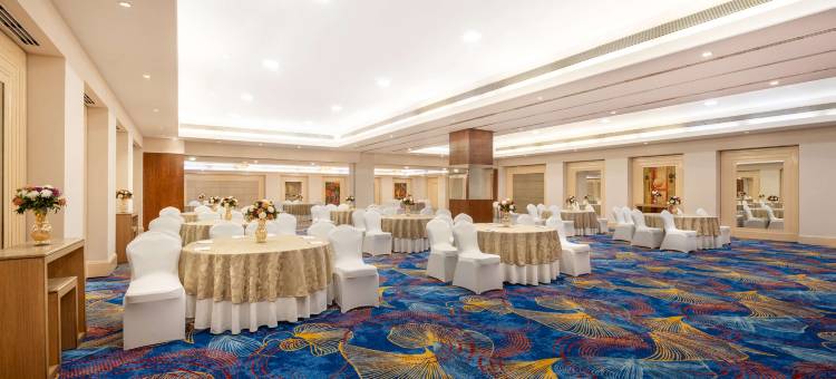 法里达巴德丽亭酒店(Park Plaza Faridabad)图片