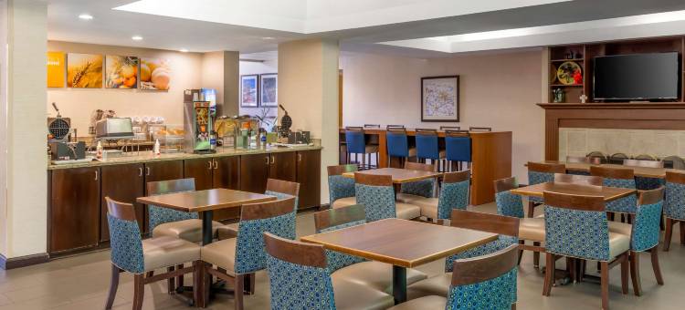 摄政公园舒适套房酒店(Comfort Suites Regency Park)图片