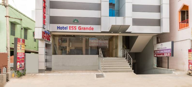 Treebo Ess Grande图片