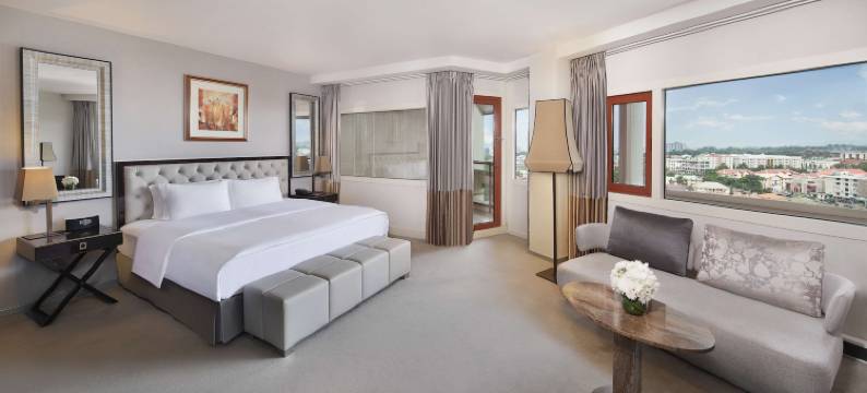 阿布贾希尔顿国际酒店(Transcorp Hilton Abuja)图片