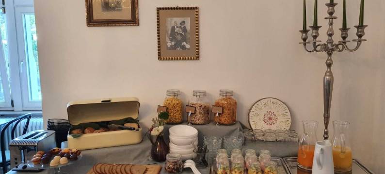 贵族酒店别墅霍尔巴赫(Boutique Hotel Villa Horbach)图片