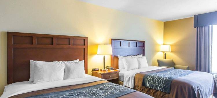 舒适套房酒店(Comfort Inn and Suites)图片