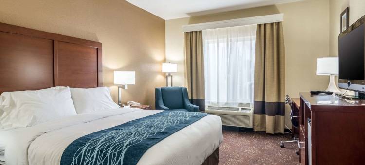 汉尼拔舒适套房酒店(Comfort Inn & Suites - Hannibal)图片