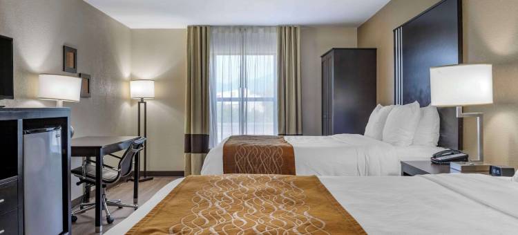 舒适酒店(Comfort Inn Near Downtown & Blue Ridge Pkwy)图片