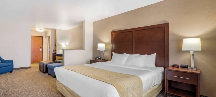 舒适酒店及套房米切尔I-90(Comfort Inn & Suites Mitchell I-90)图片