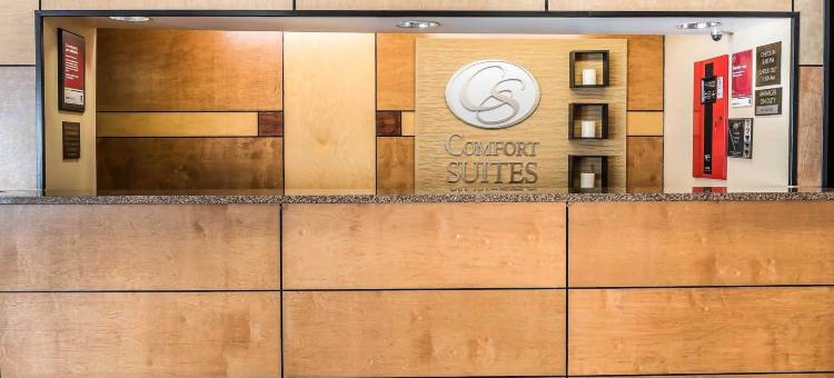 梅森舒适套房酒店-近国王岛(Comfort Suites Mason Near Kings Island)图片